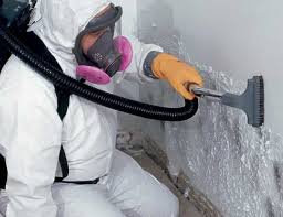 Forensic Mold Investigation in Chetek, WI